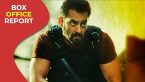 salman khan, tiger 3