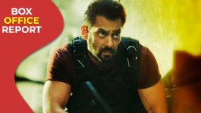 tiger 3, tiger 3 box office, salman khan,