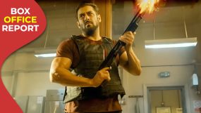 salman khan, tiger 3, tiger 3 box office,