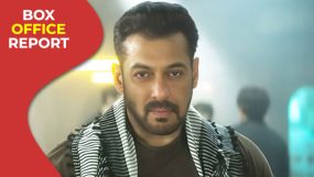tiger 3, salman khan,