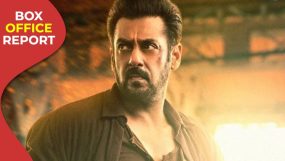 salman khan, katrina kaif, tiger 3, tiger 3 box office