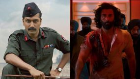 vicky kaushal, sam bahadur, ranbir kapoor, animal,