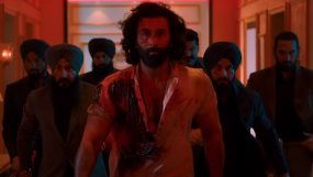 ranbir kapoor, animal