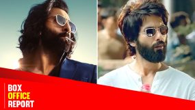 animal, animal box office, ranbir kapoor, shahid kapoor