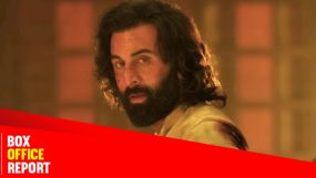 animal box office, ranbir kapoor,