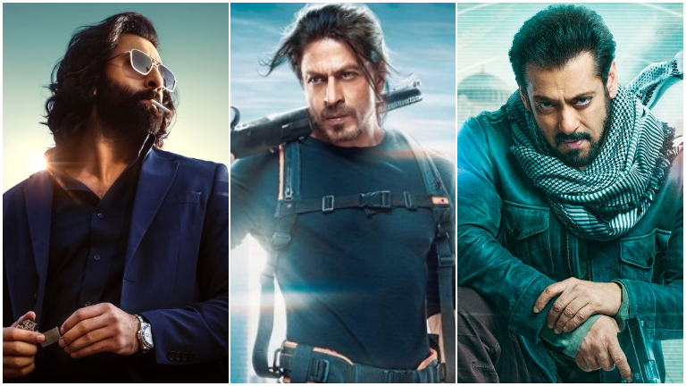 animal, aninmal box office, tiger 3, pathaan,