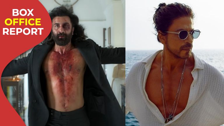 ranbir kapoor, animal box office collections,