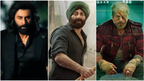 animal box office collections, animal, ranbir kapoor