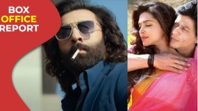 animal, ranbir kapoor, shah rukh khan, chennai express