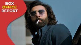 animal box office collection,