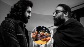 unseen pic of animal set,