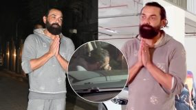 bobby deol, animal, animal success