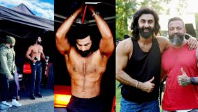 ranbir kapoor, animal