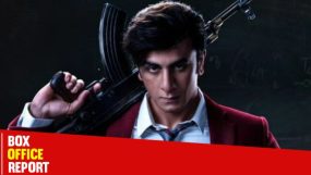 ranbir kapoor, animal, animal box office