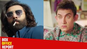 ranbir kapoor, animal, aamir khan, pk
