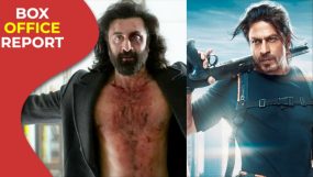 ranbir kapoor, animal, animal worldwide box office, shah rukh khan, pathaan