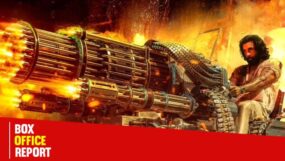 ranbir kapoor animal box office,