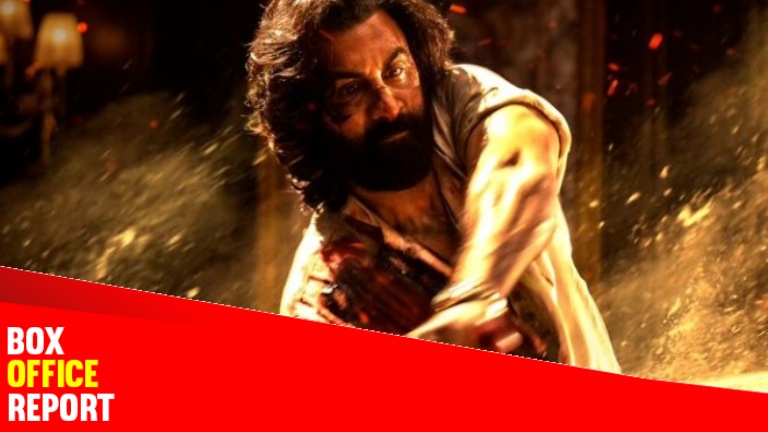 ranbir kapoor, animal, ranbir kapoor in animal