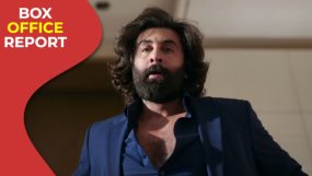 ranbir kapoor, animal, animal box office