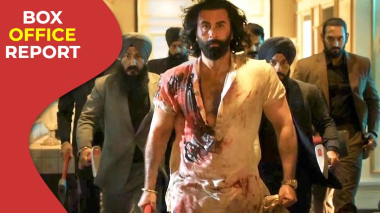 ranbir kapoor, animal,