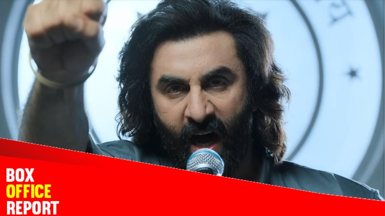 ranbir kapoor, animal, animal box office