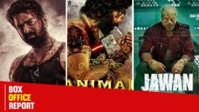 salaar, animal, jawan,