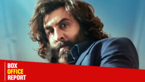 animal box office, ranbir kapoor, animal,