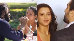 triptii dimri, ranbir kapoor, animal