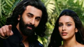 triptii dimri ranbir kapoor animal