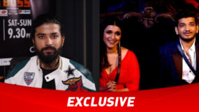 anurag dobhal, munawar faruqui, mannara chopra, bigg boss 17,