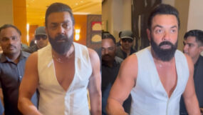 bobby deol, animal, animal success party