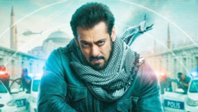 salman khan, tiger 3,