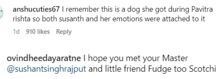 Ankita Lokhande fans react to doggo Scotch Demise