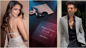 triptii dimrii, kartik aaryan, bhool bhulaiyaa 3,