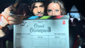 kartik aaryan, triptii dimri, bhool bhulaiyaa 3