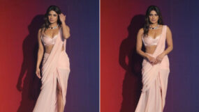 priyanka chopra, ambani holi bash