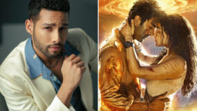 siddhant Chaturvedi, brahmastra, ranbir kapoor