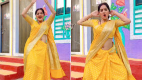 diya aur baati hum, deepika singh, deepika singh trolled