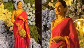 taapsee pannu, taapsee pannu wedding, mathias boe