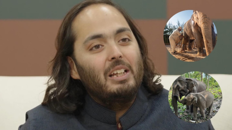 anant ambani, vantara, anant ambani vantara, vantara animal care, assam elephants, elephant pratima, vantara elephant pratima, anant ambani vantara elephant,
