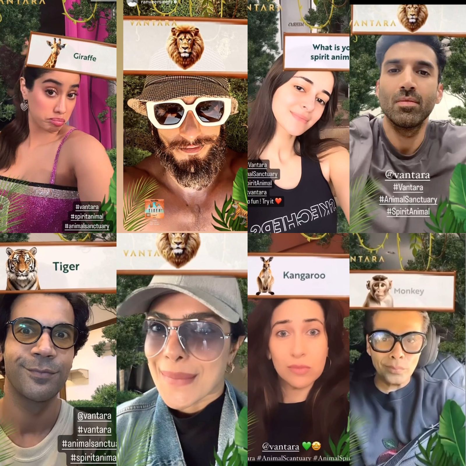 Bollywood Celebs finding their spirit animal
