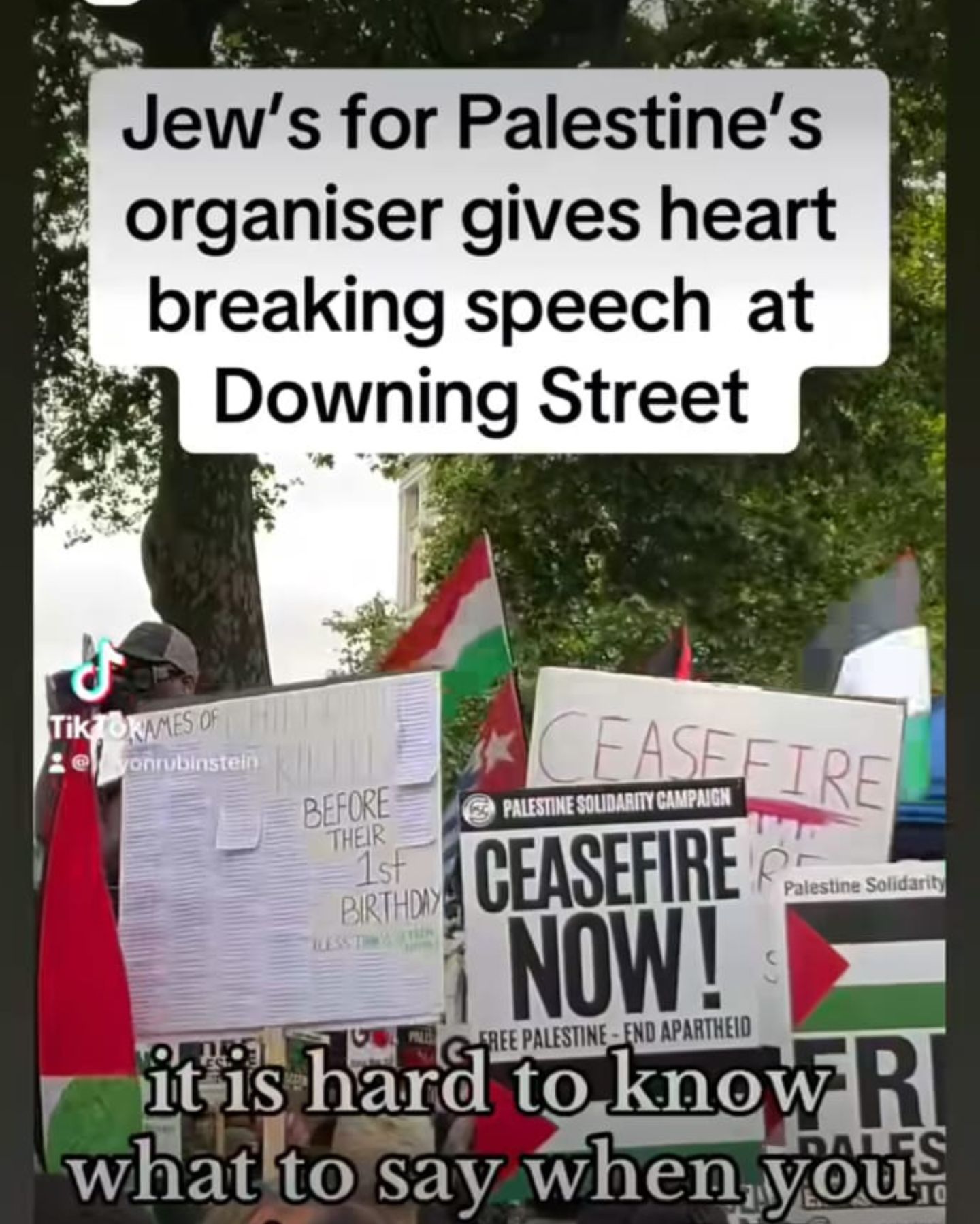 Samantha Ruth Prabhu supports Palestine