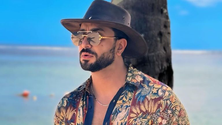 aly goni, aly trolls, aly goni hits back at troll, aly election news, aly and jasmine, aly yeh hai mohabbatein