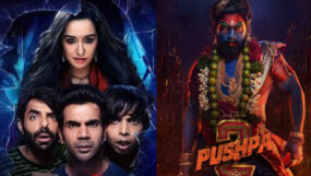 stree 2, pushpa 2, rashmika mandanna, allu arjun, rajkummar and shraddha, vedaa, sharvari in vedaa, khel khel mein akshay kumar, stree 2 release date