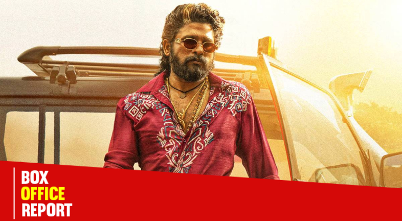 pushpa 2: the rule, allu arjun, allu arjun in pushpa 2, pushpa 2 box office
