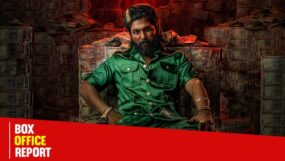 allu arjun, pushpa 2_ the rule,