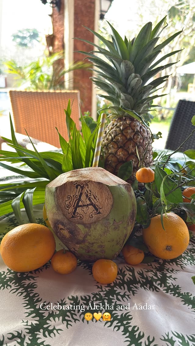 Karisma Kapoor celebrates Aadar Jain & Alekha Advani