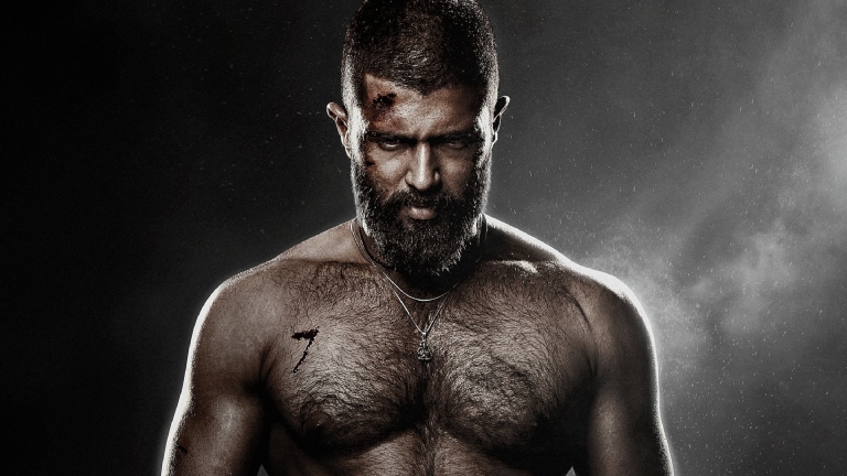 vijay deverakonda, kingdom