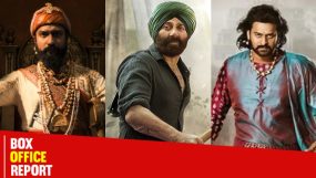 Vicky Kaushal's Chhaava box office