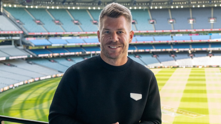 nithiin, sreeleela, david warner, robinhood, telugu film debut,